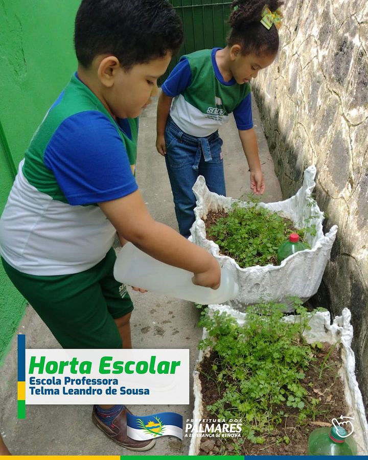 PALMARES: HORTA ESCOLAR  